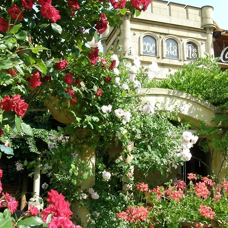 Bow Garden