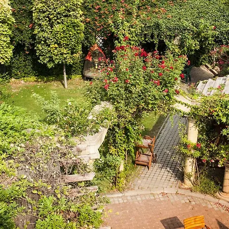 Bow Garden Komárno
